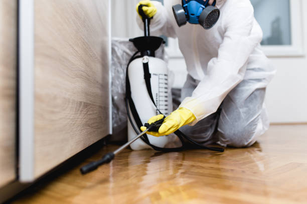 Best Bed Bug Extermination  in San Martin, CA