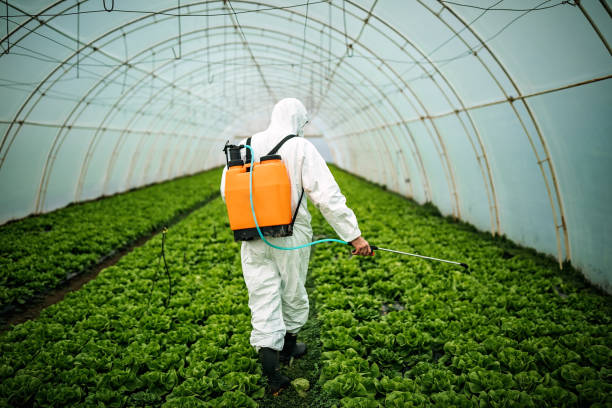 Best Insect Control  in San Martin, CA