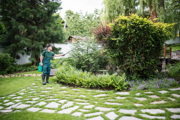 Best Residential Pest Control  in San Martin, CA